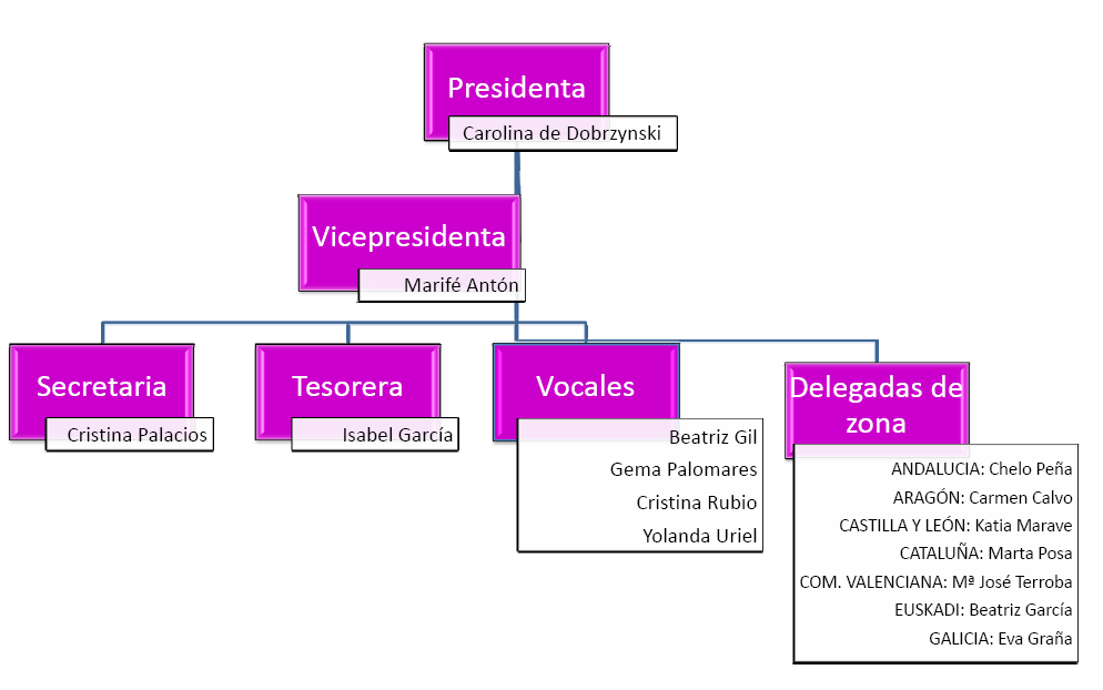 Organigrama 2015 2016