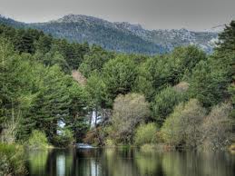 Valle de la barranca